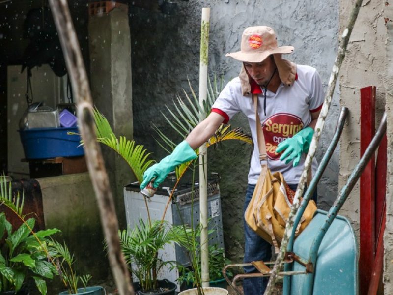Brigada Dengue