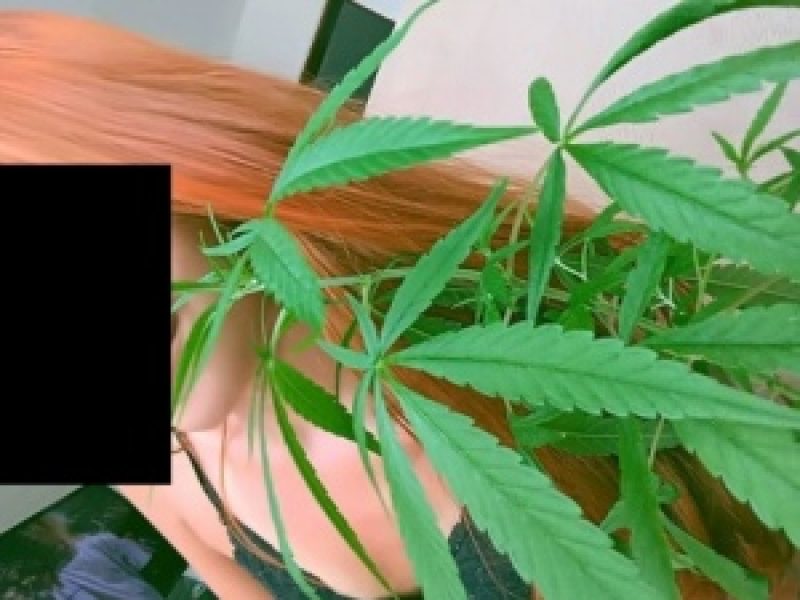 J-drogas